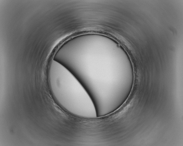 X0000112880830200908211049