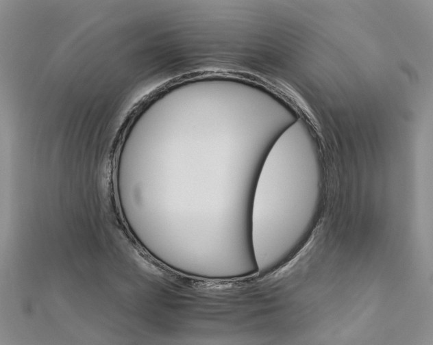 X0000112880831200908211049