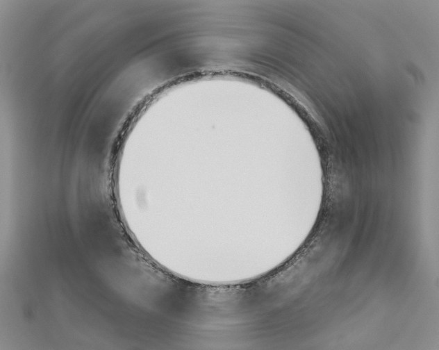 X0000112880832200908211049