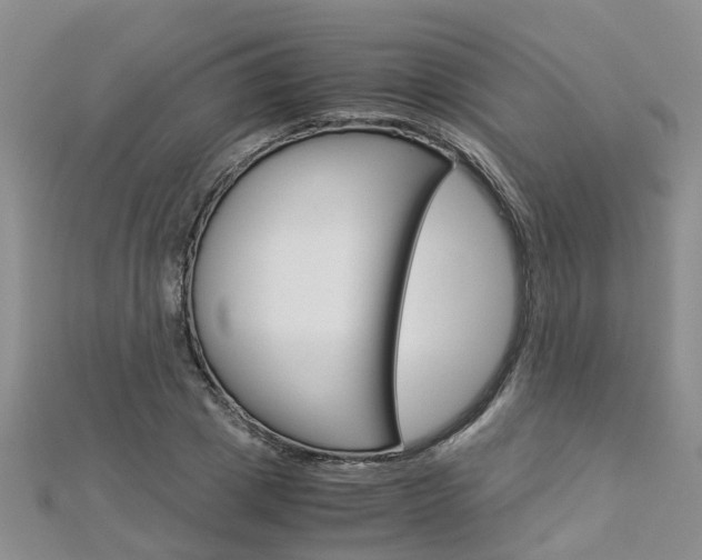 X0000112880833200908211049