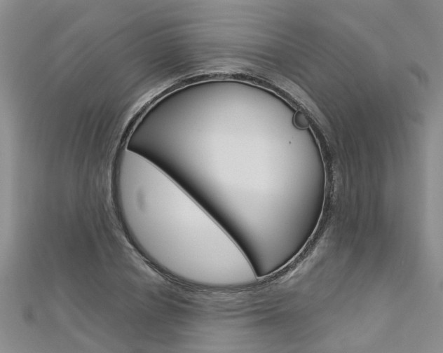 X0000112880834200908211049