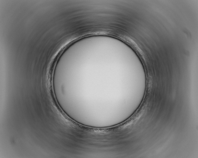 X0000112880835200908211049