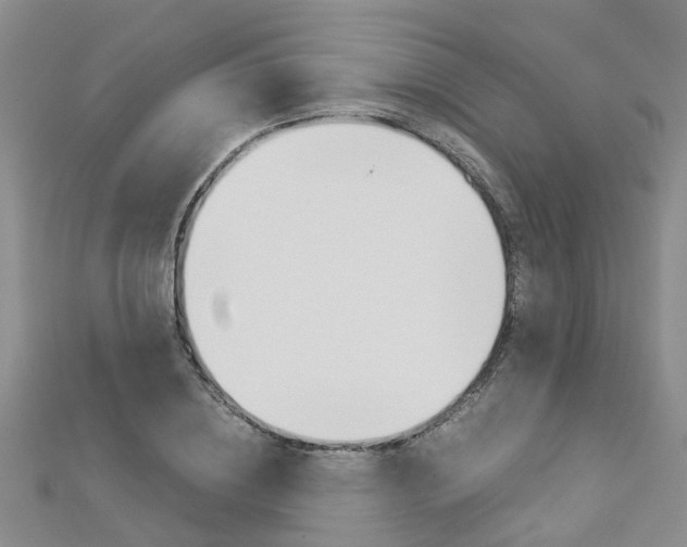 X0000112880836200908211049