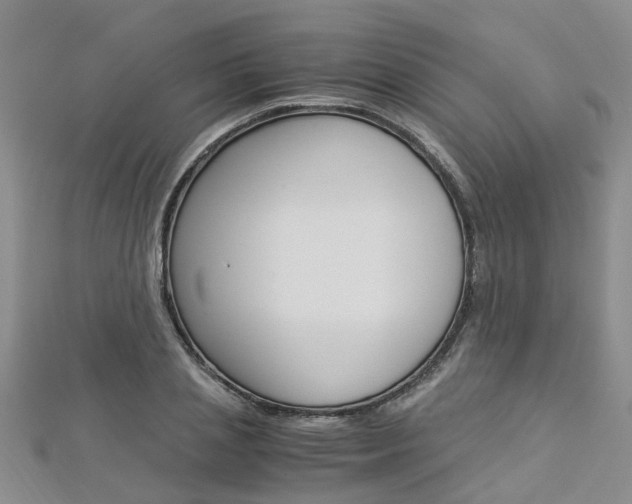 X0000112880837200908211049