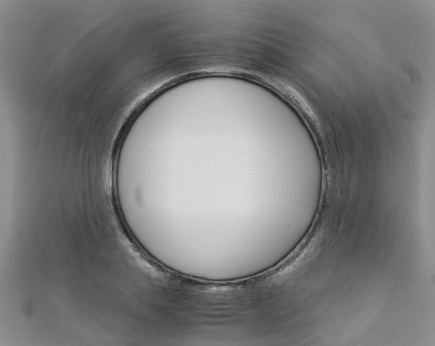 X0000112880839200908211050