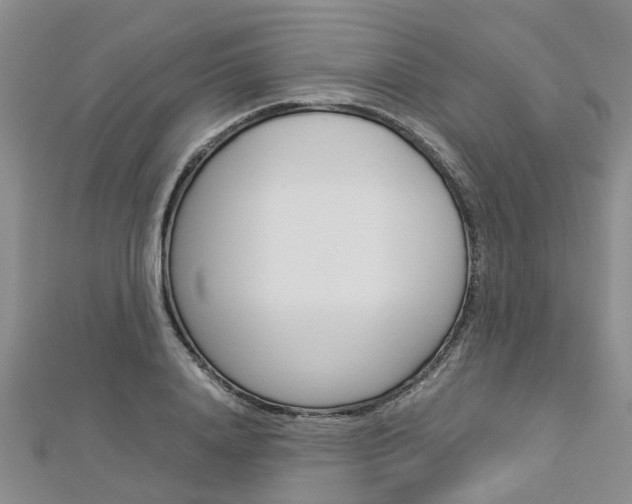 X0000112880840200908211050