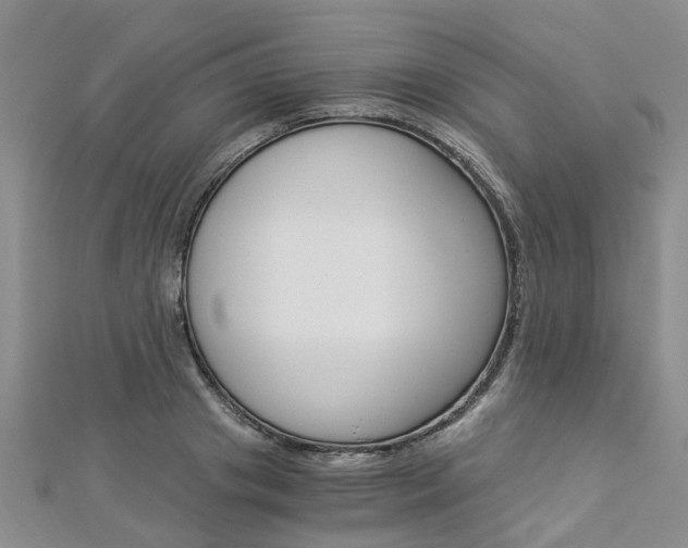 X0000112880841200908211050