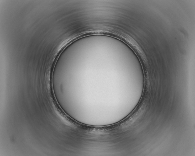X0000112880842200908211050