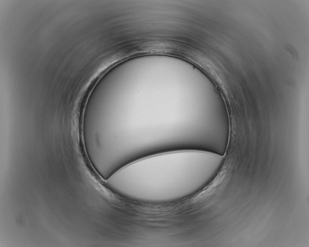 X0000112880843200908211050