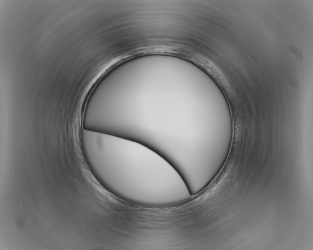 X0000112880844200908211050