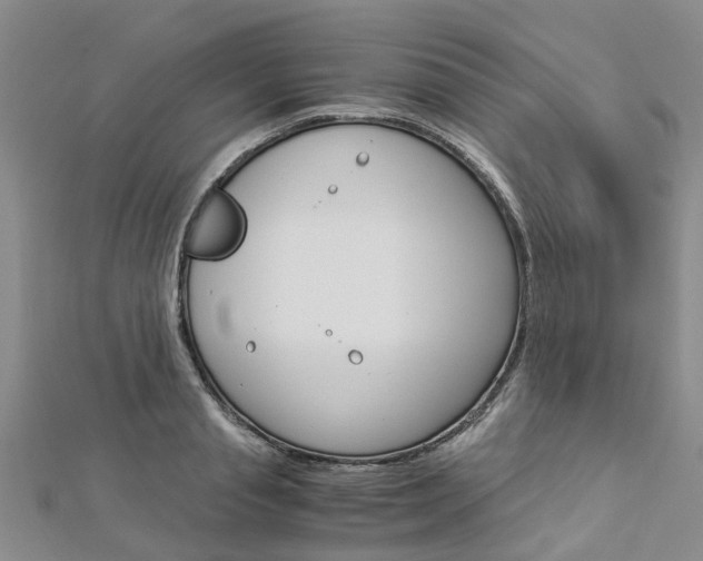 X0000112880845200908211050