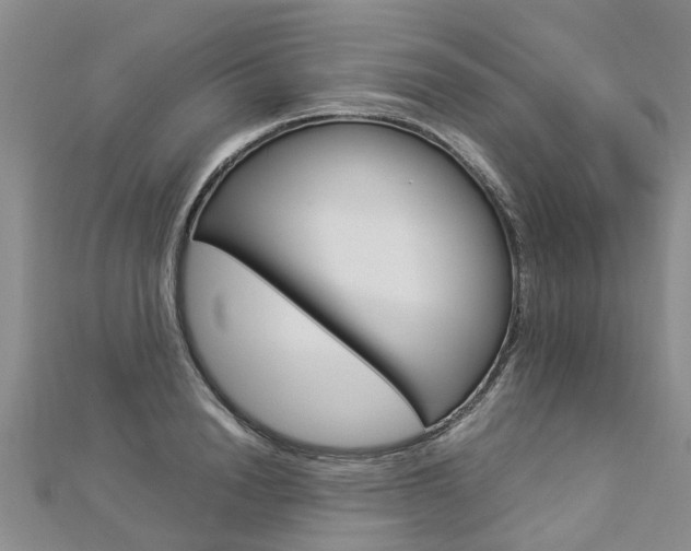 X0000112880846200908211050