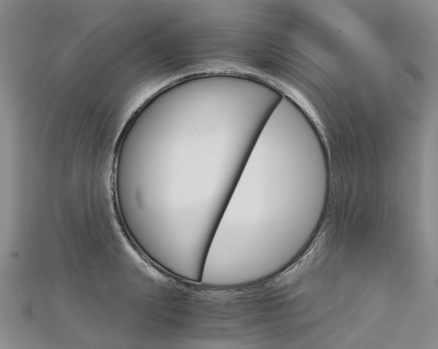 X0000112880847200908211050
