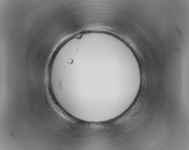 X0000112880848200908211050