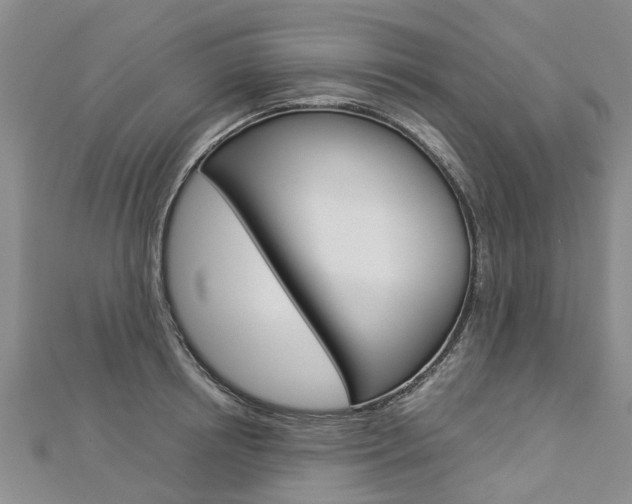 X0000112880850200908211050
