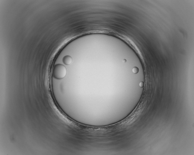 X0000112880851200908211050