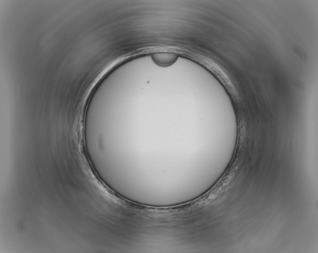 X0000112880852200908211050