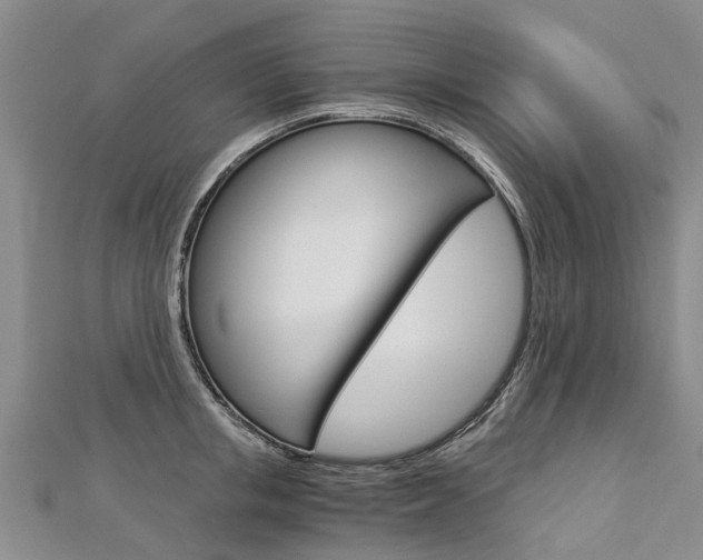 X0000112880853200908211050