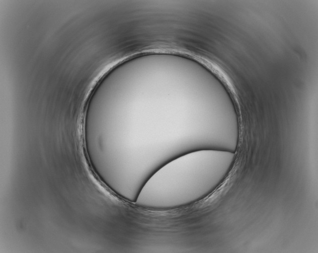 X0000112880855200908211050