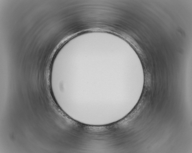 X0000112880856200908211050