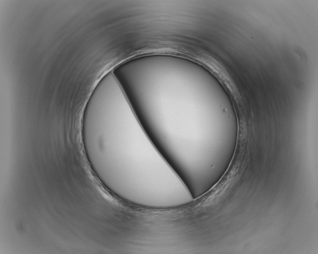 X0000112880858200908211050