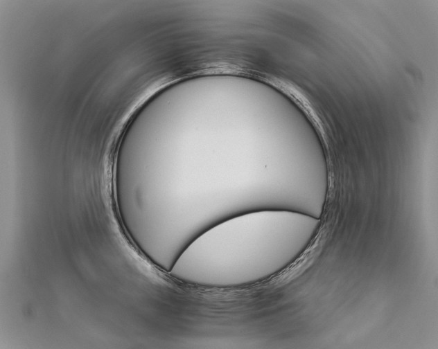 X0000112880859200908211050