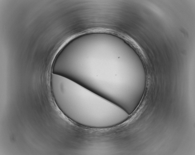 X0000112880860200908211050