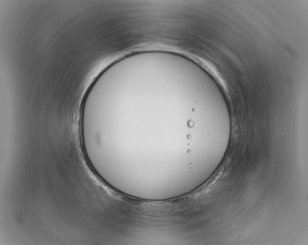 X0000112880863200908211050