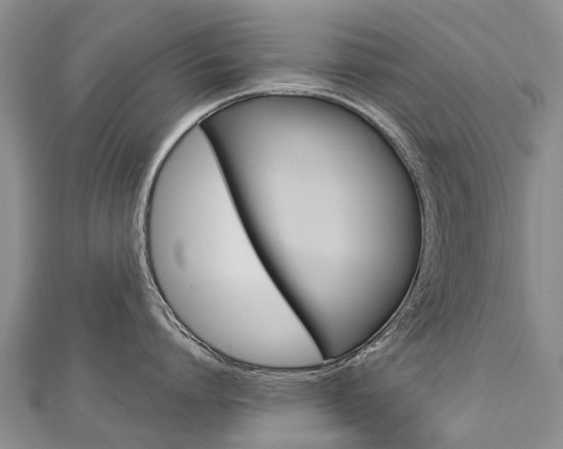 X0000112880864200908211050