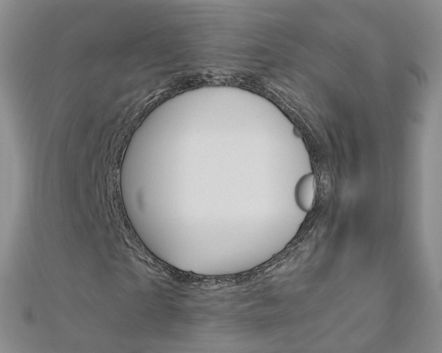 X0000112880865200908211049