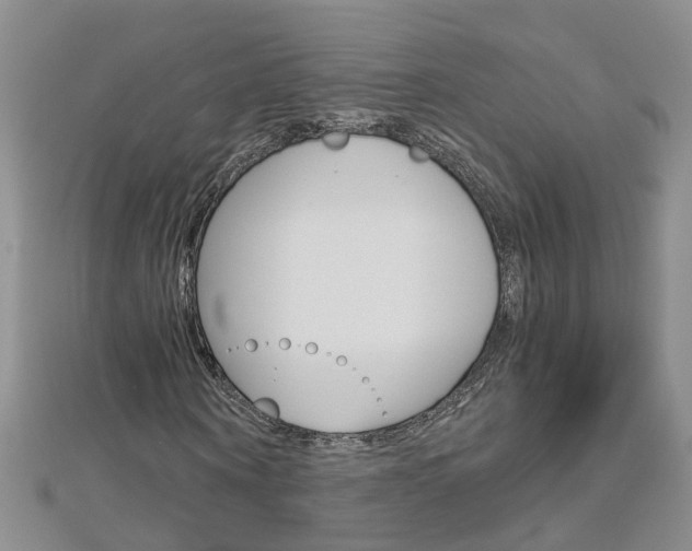 X0000112880866200908211049