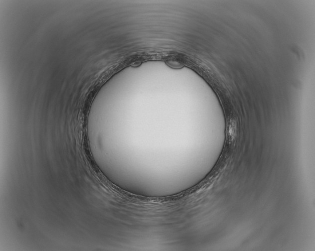 X0000112880867200908211049
