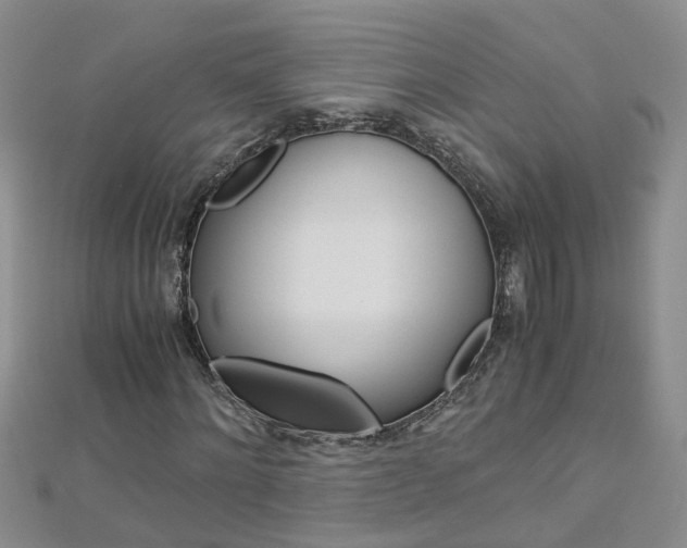 X0000112880868200908211049