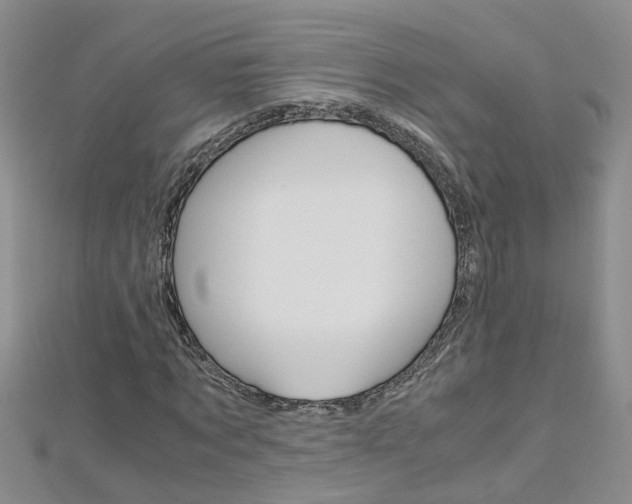 X0000112880869200908211049