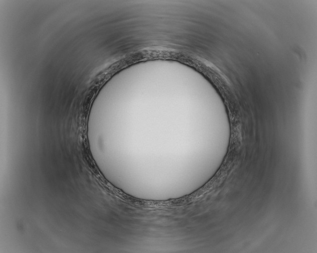 X0000112880870200908211049