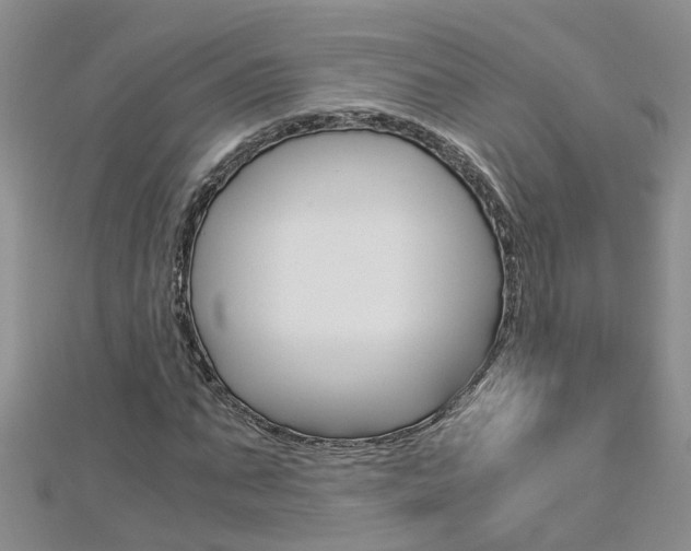 X0000112880871200908211049