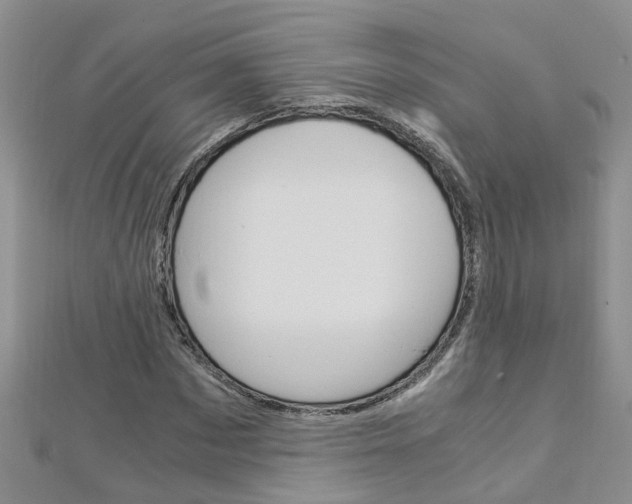 X0000112880873200908211049