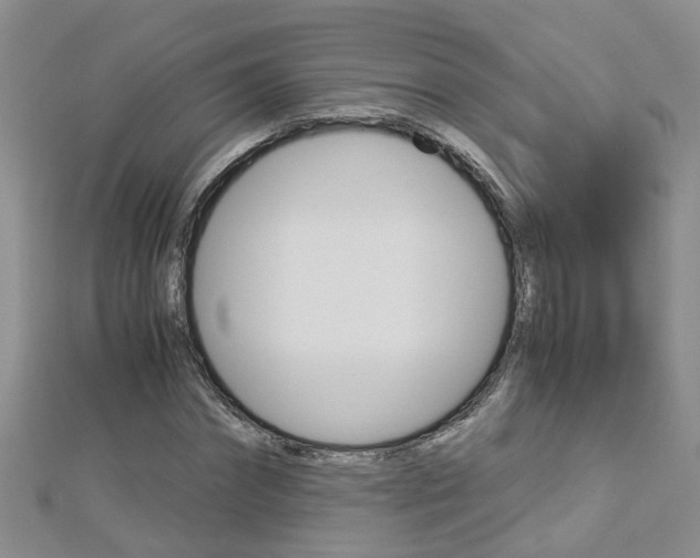 X0000112880874200908211049
