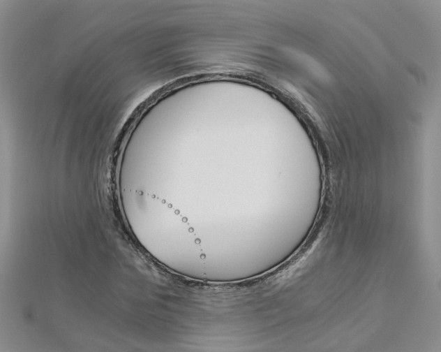 X0000112880875200908211049