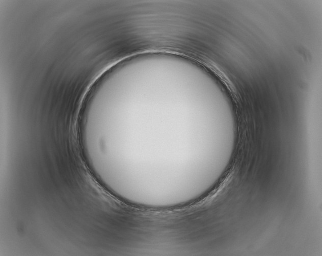 X0000112880876200908211049
