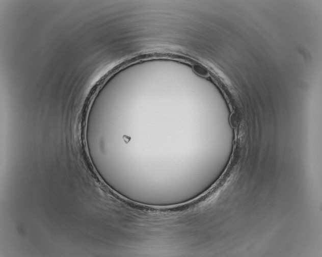 X0000112880877200908211049