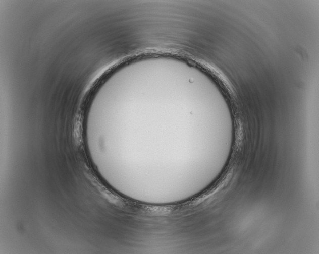 X0000112880878200908211049