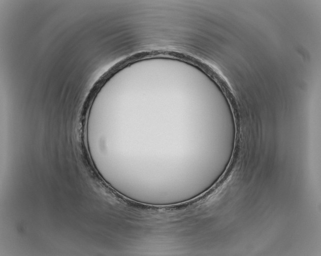 X0000112880879200908211049