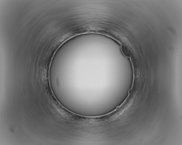 X0000112880881200908211049