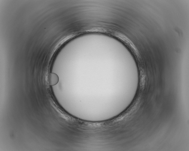 X0000112880882200908211049