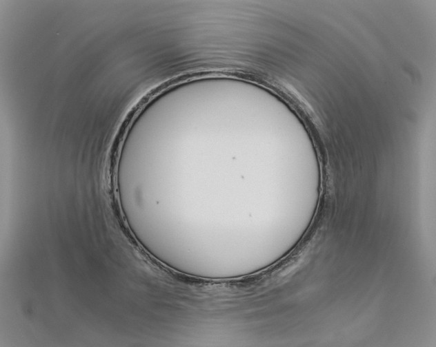 X0000112880883200908211049