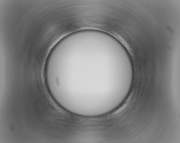 X0000112880885200908211049