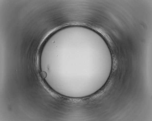 X0000112880886200908211049