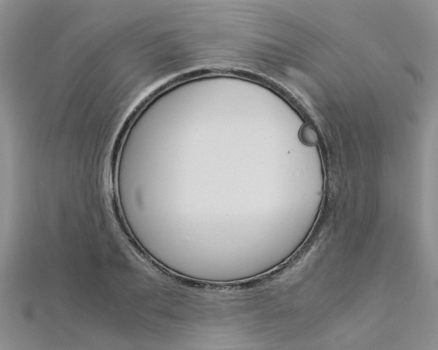 X0000112880887200908211049