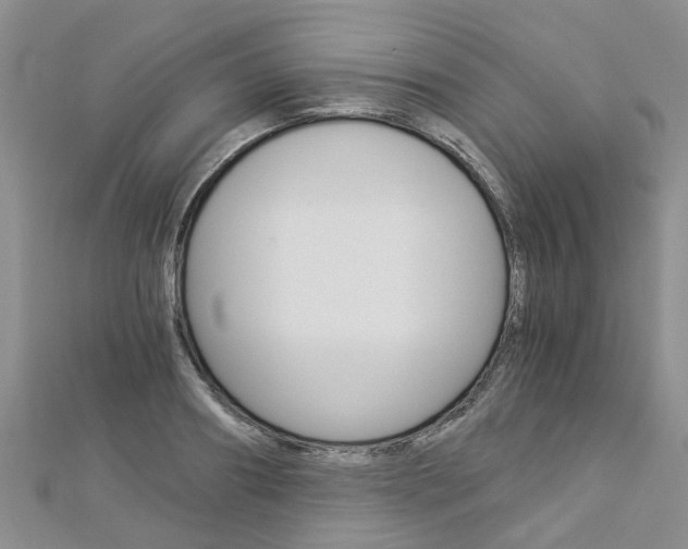 X0000112880890200908211049